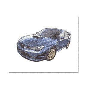 Embroidery Digitizing Sample 3